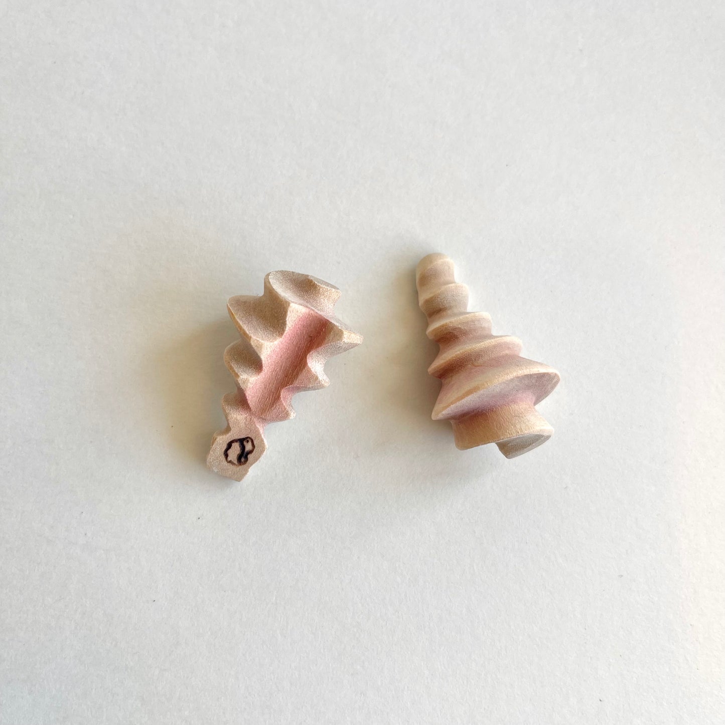 Conch Shell