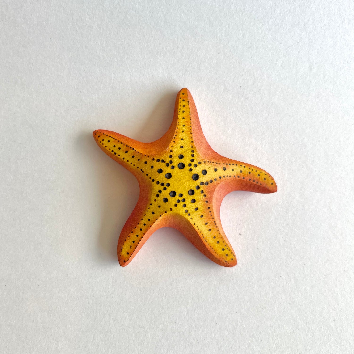 Big Starfish