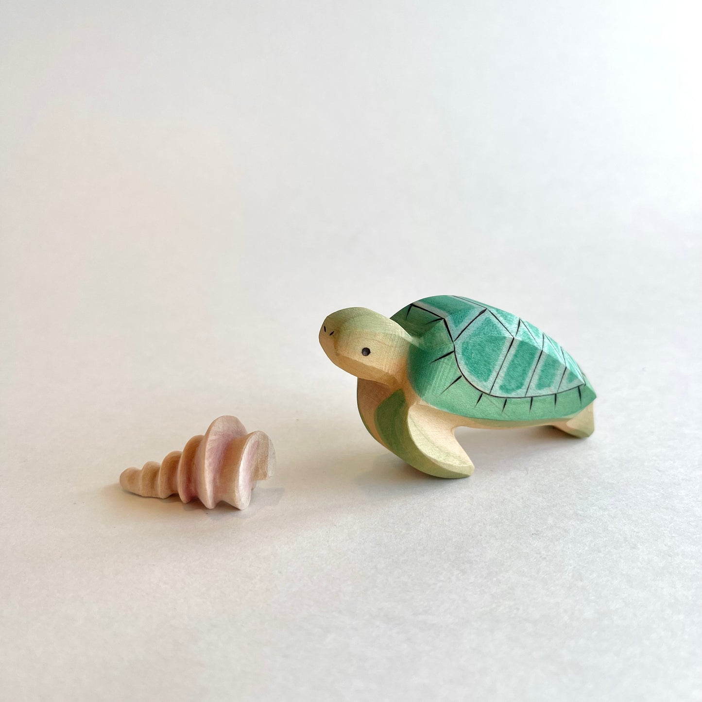 Conch Shell