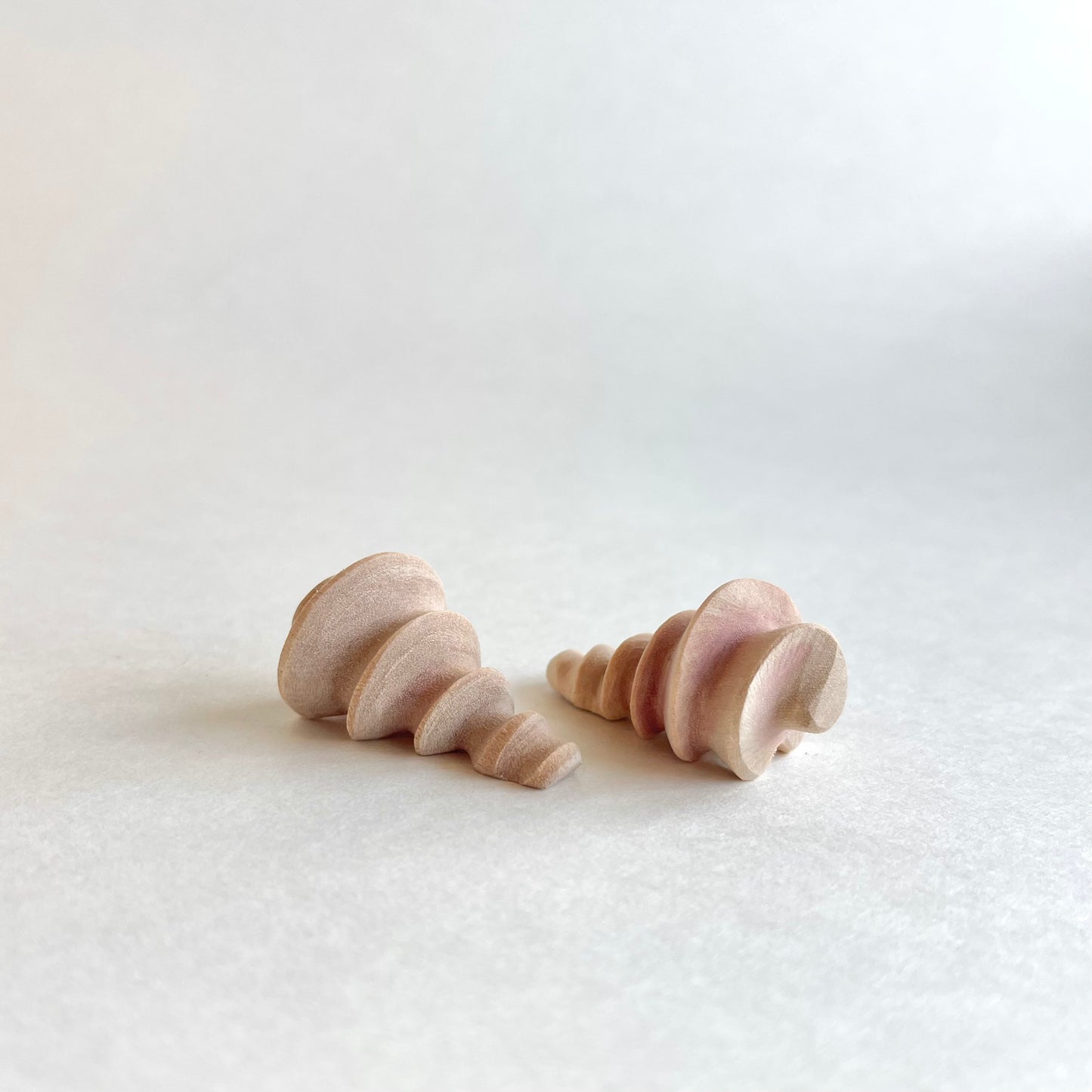 Conch Shell