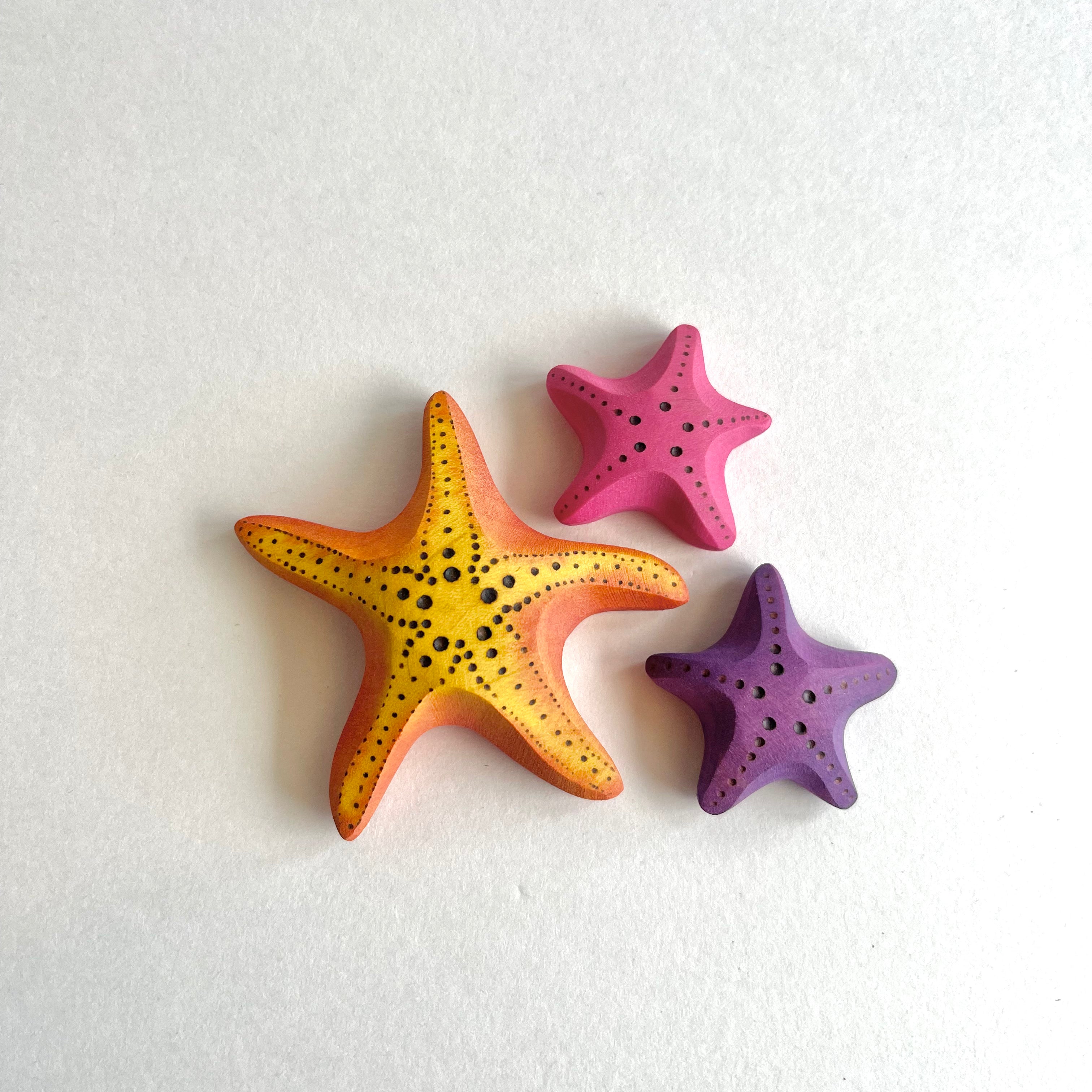 Small Purple Starfish