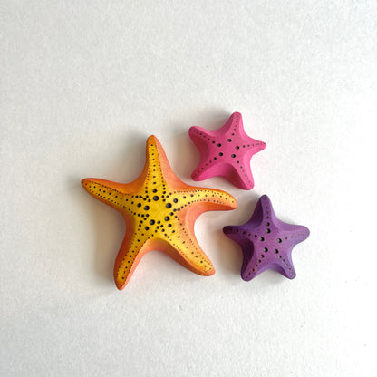 Small Purple Starfish