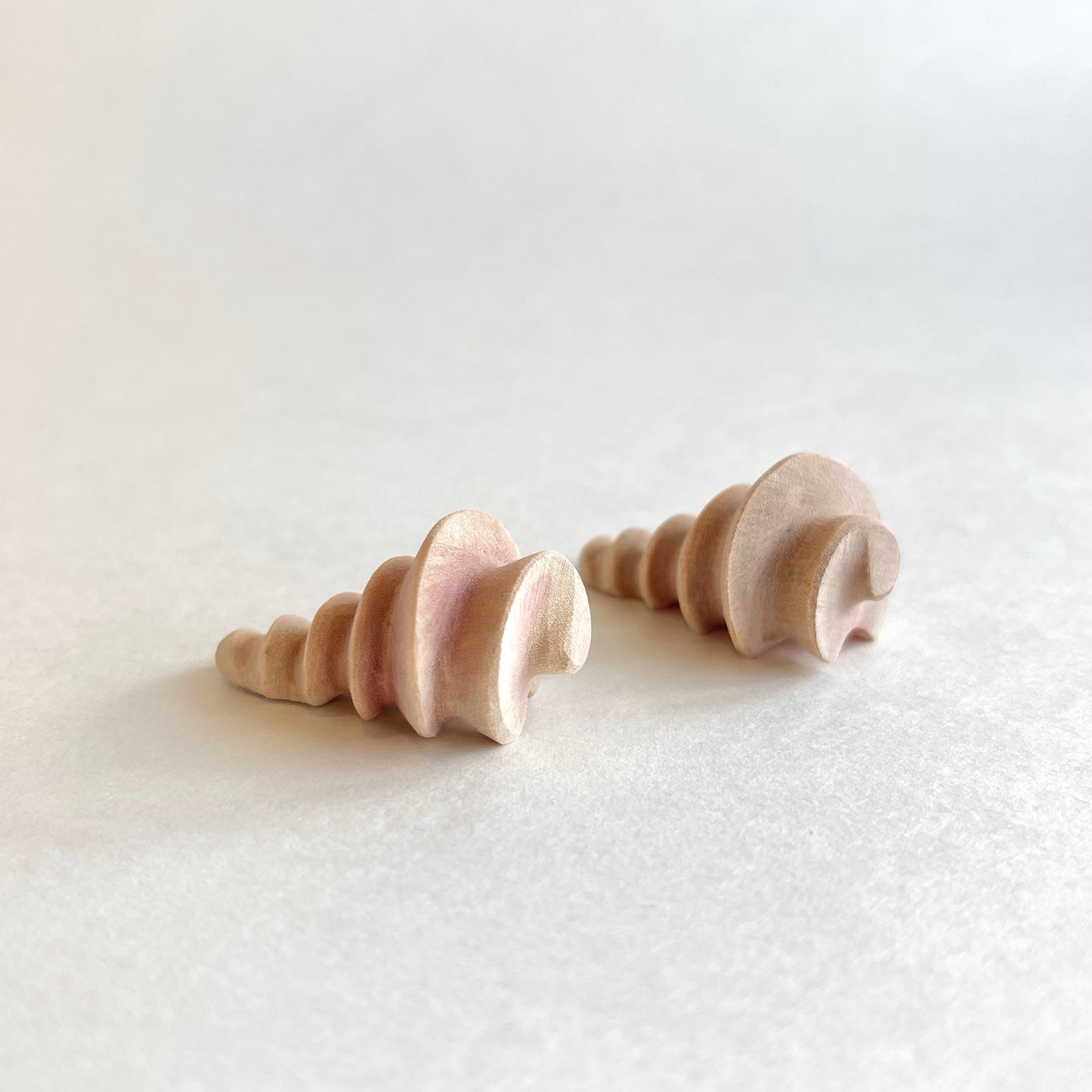 Conch Shell