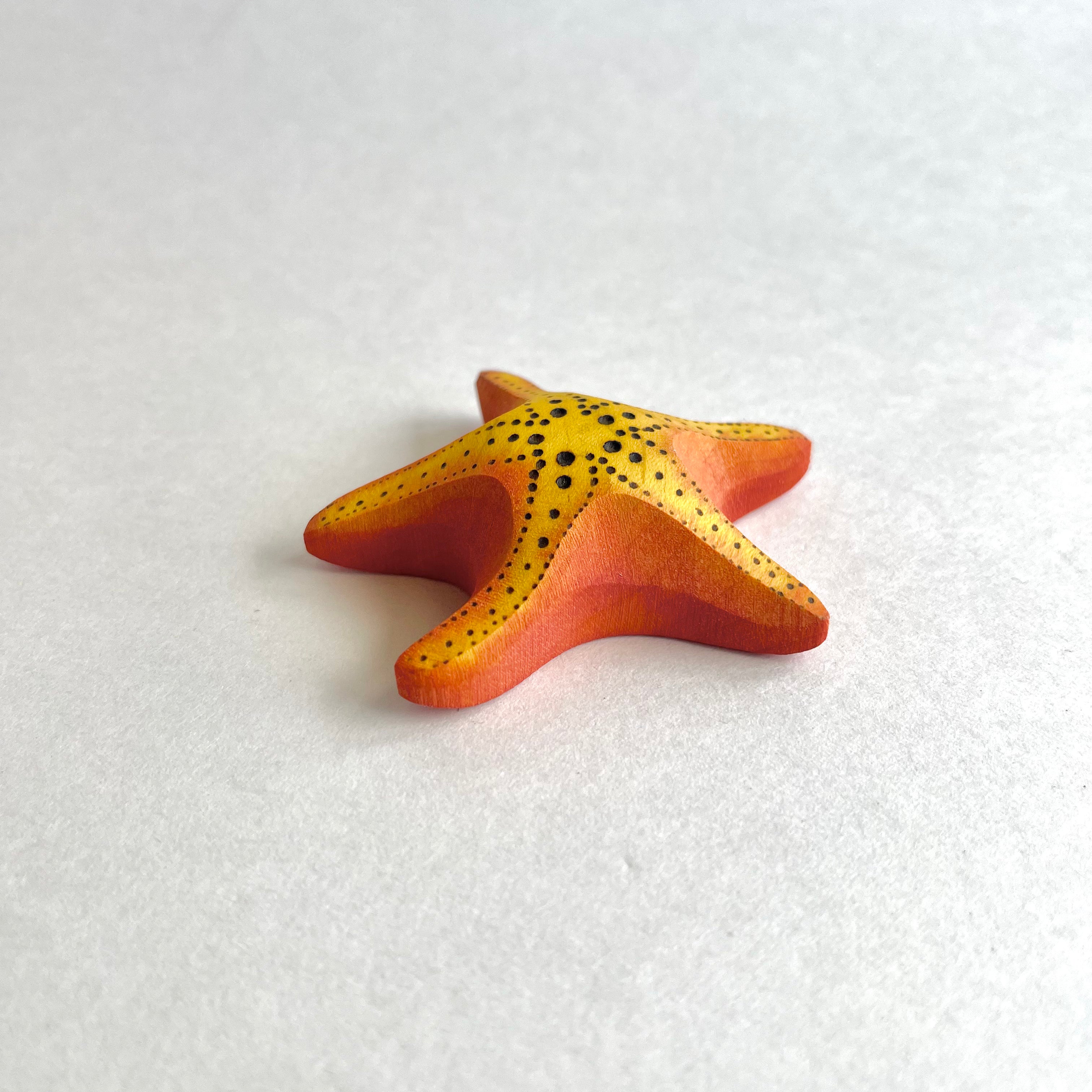 Big Starfish