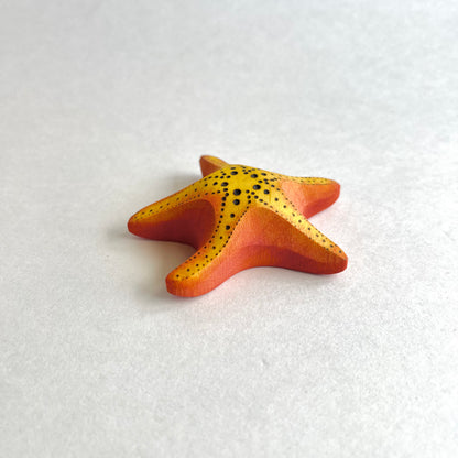 Big Starfish