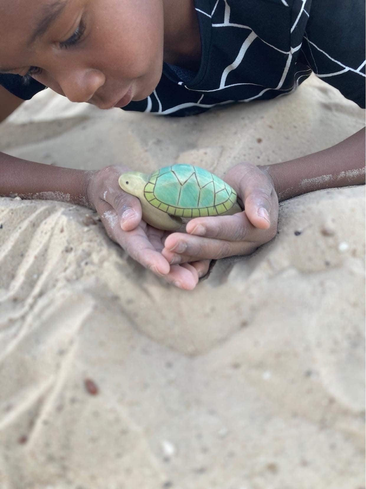 Big Sea Turtle
