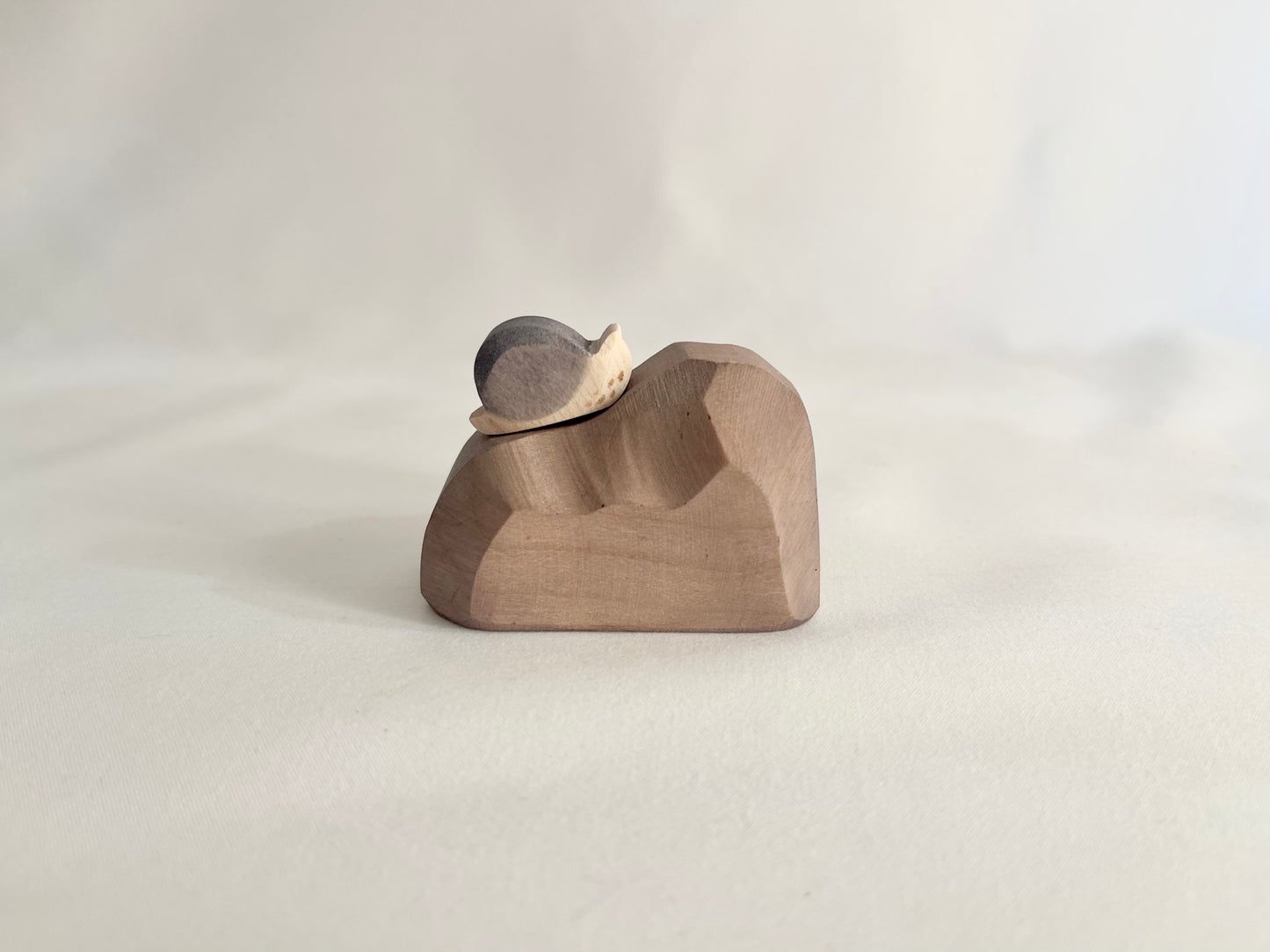 Snail