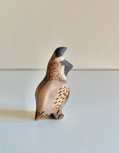 Quail