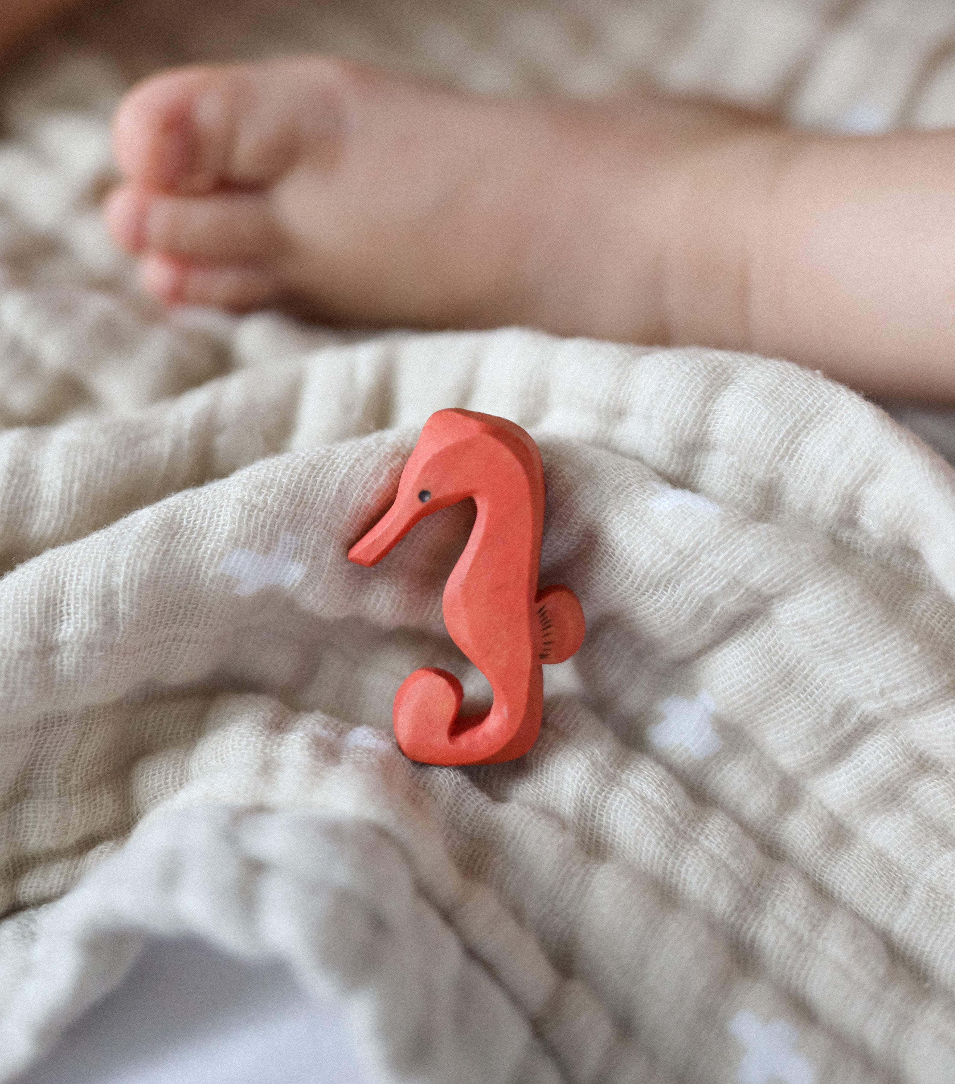Red Seahorse