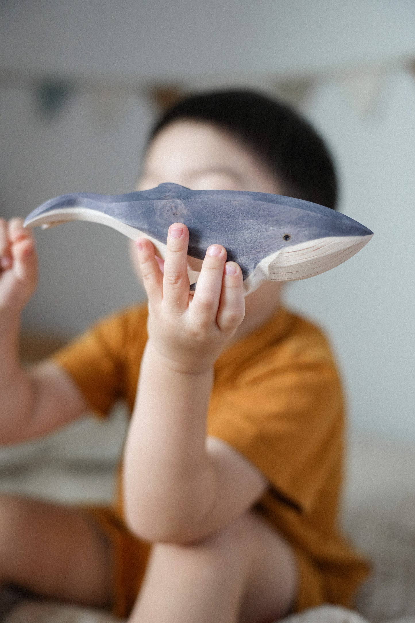Humpback Whale