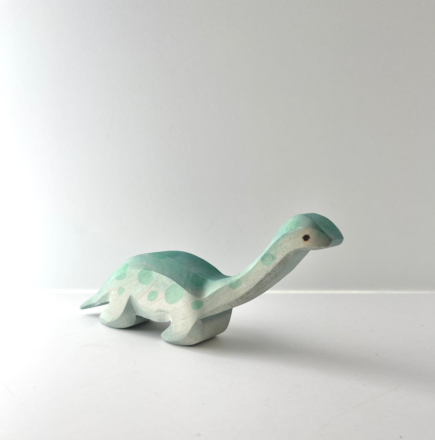 Plesiosaur