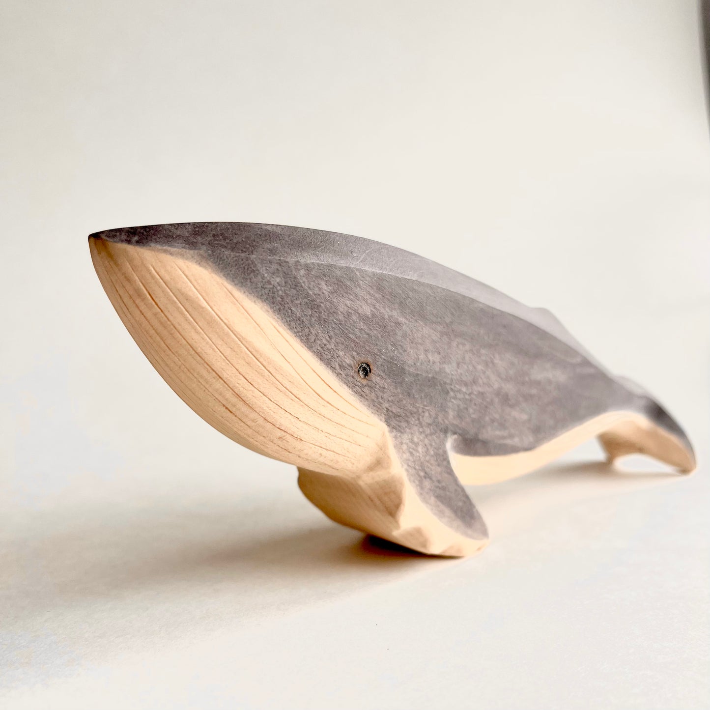 Humpback Whale