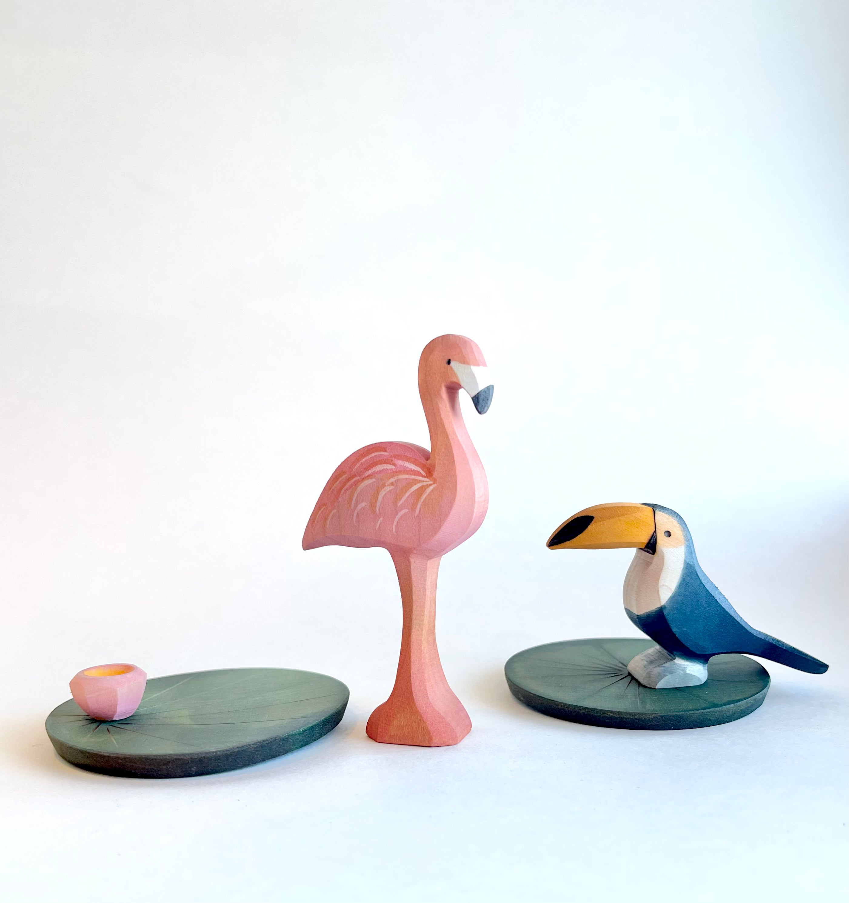 Toucan