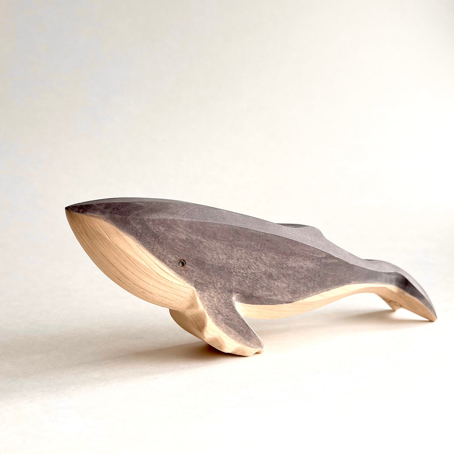 Humpback Whale
