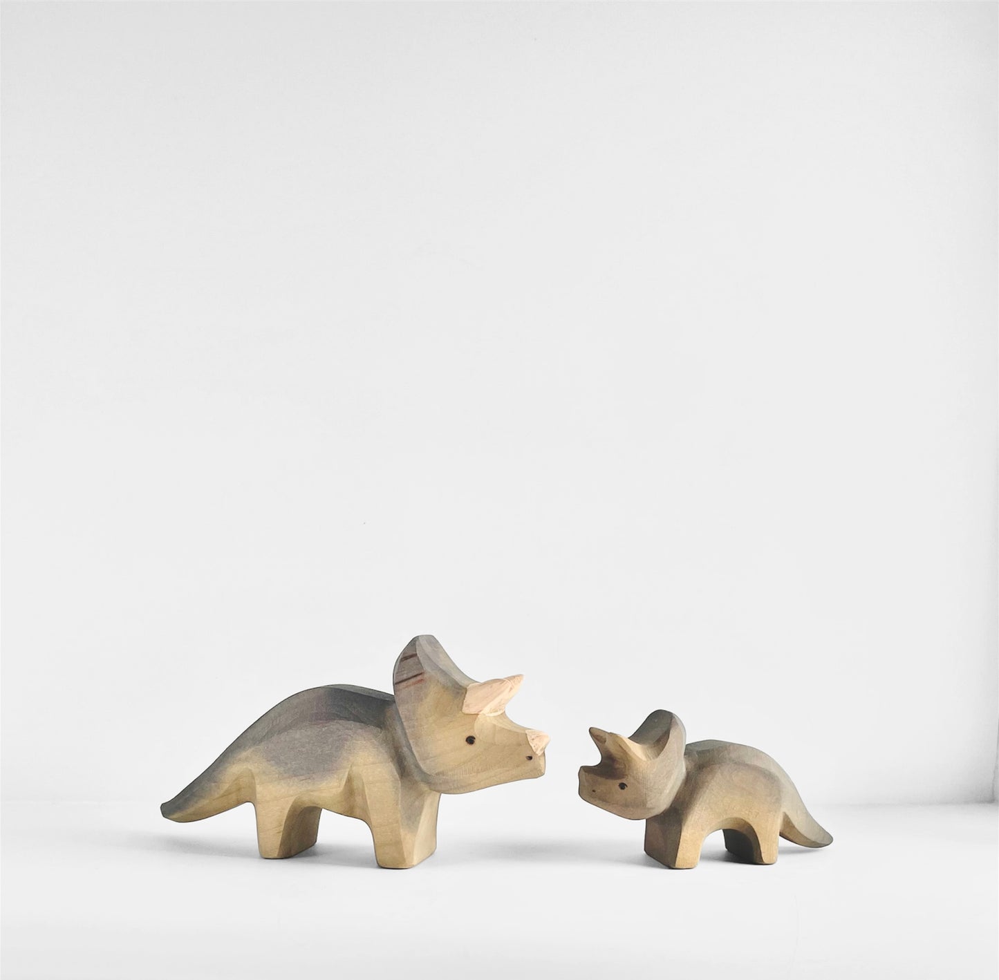 Triceratops Baby