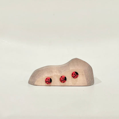 Ladybug Rock