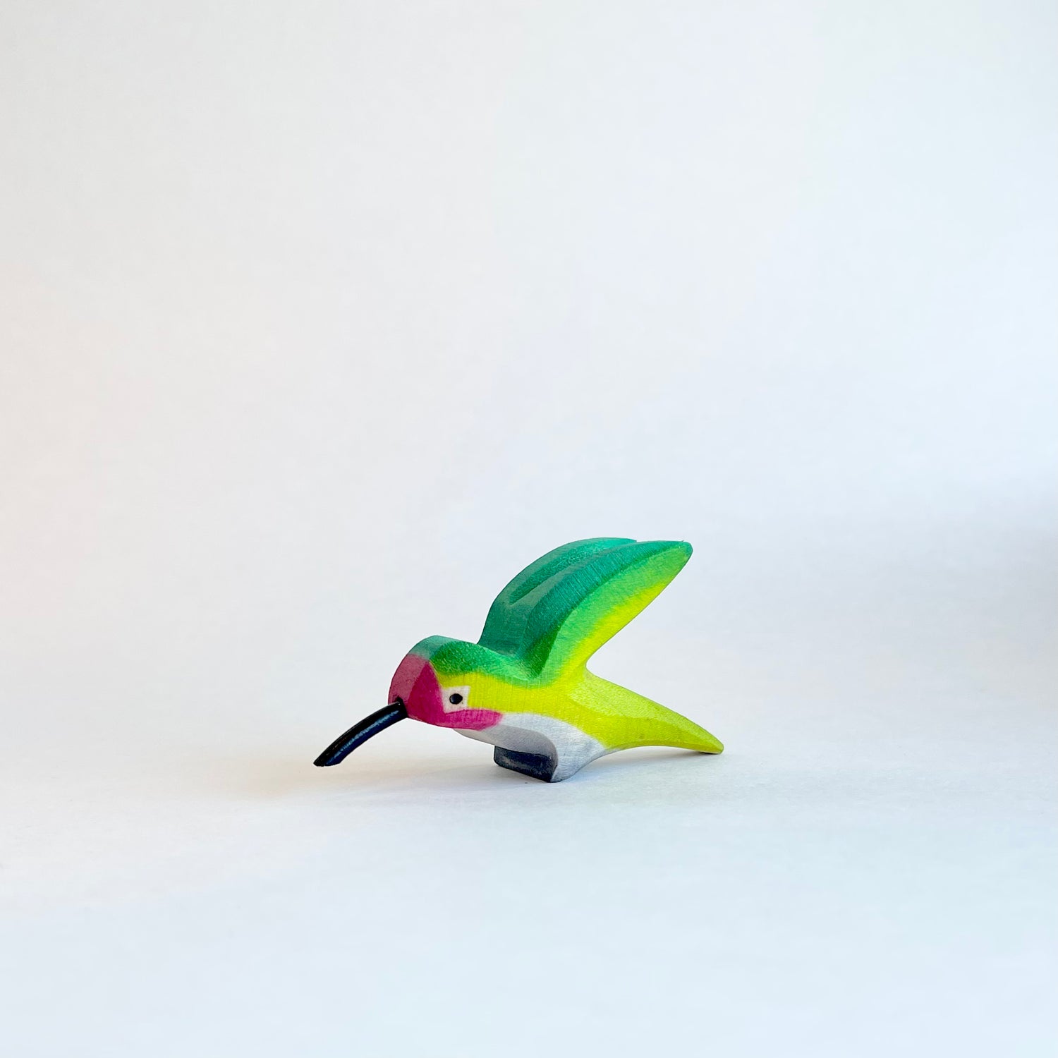Anna’s Hummingbird