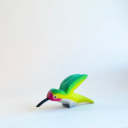 Anna’s Hummingbird