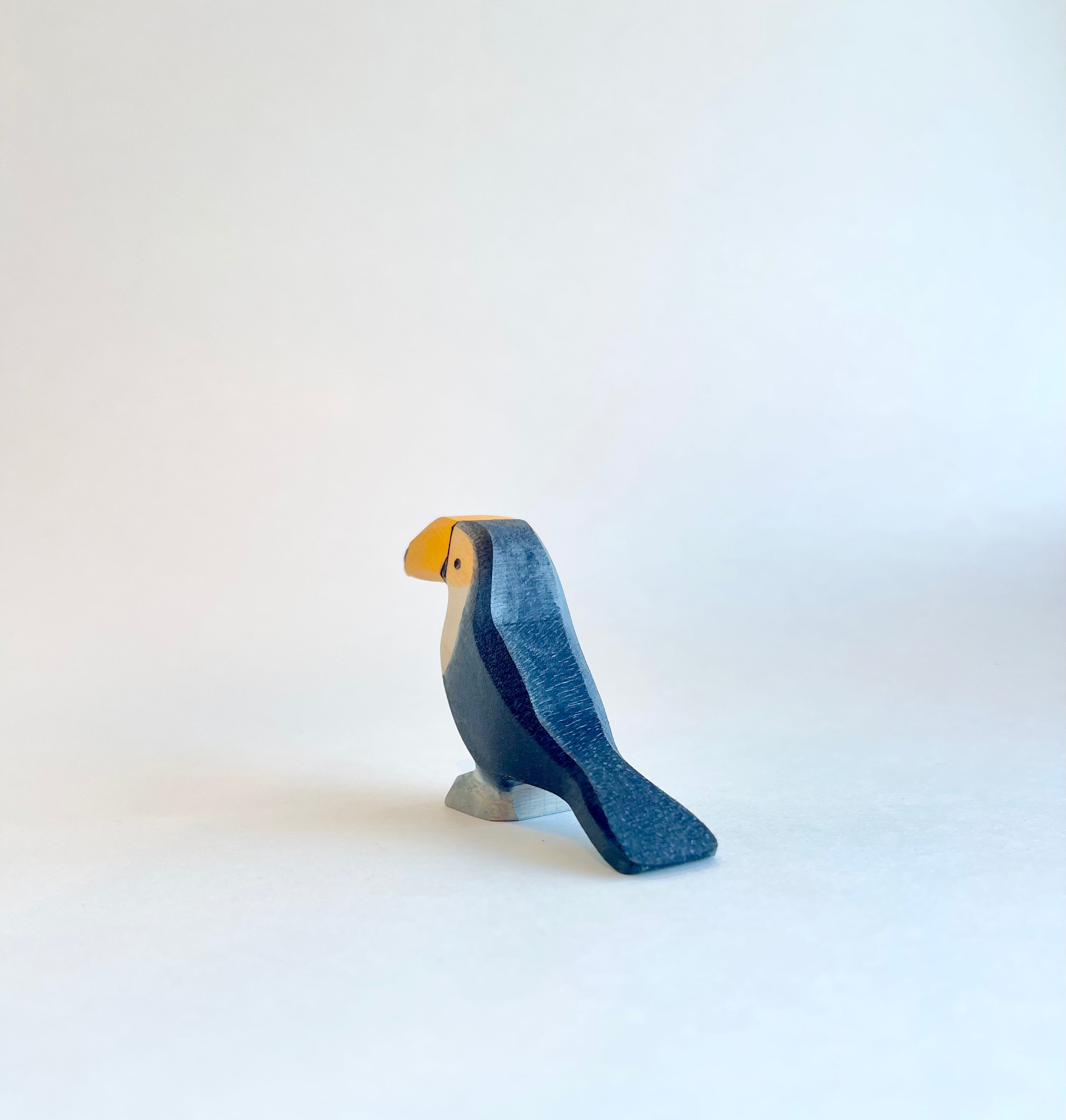 Toucan