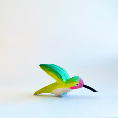 Anna’s Hummingbird