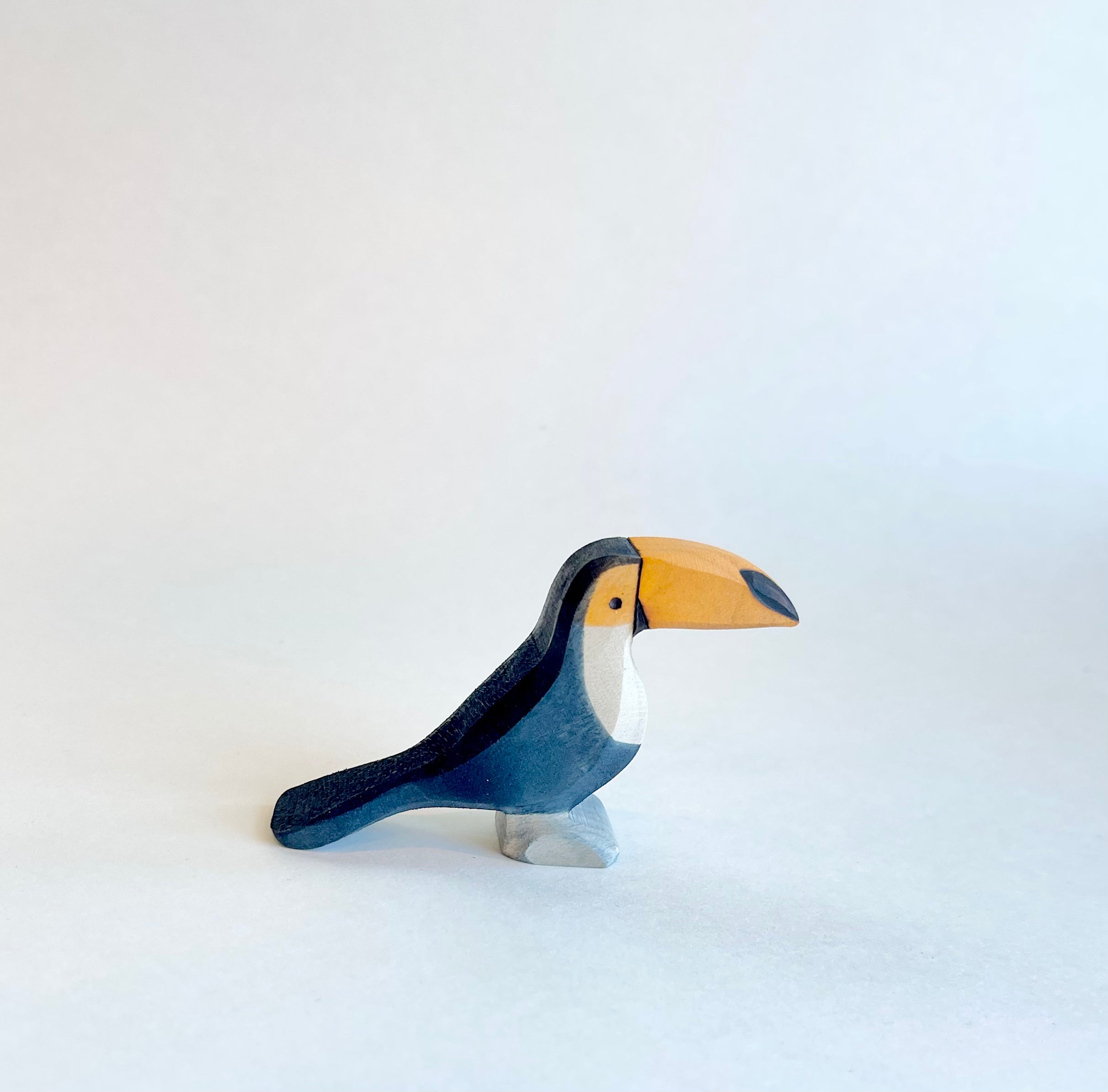 Toucan