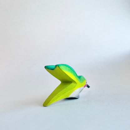 Anna’s Hummingbird