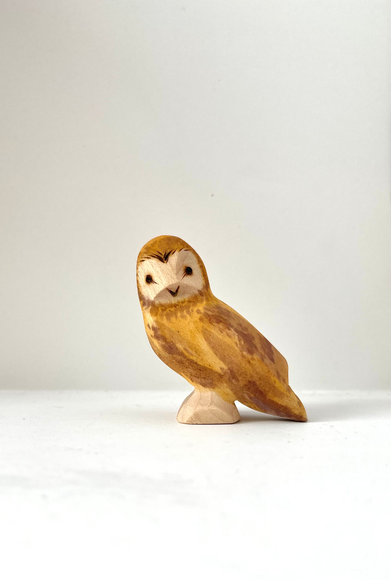 Barn Owl