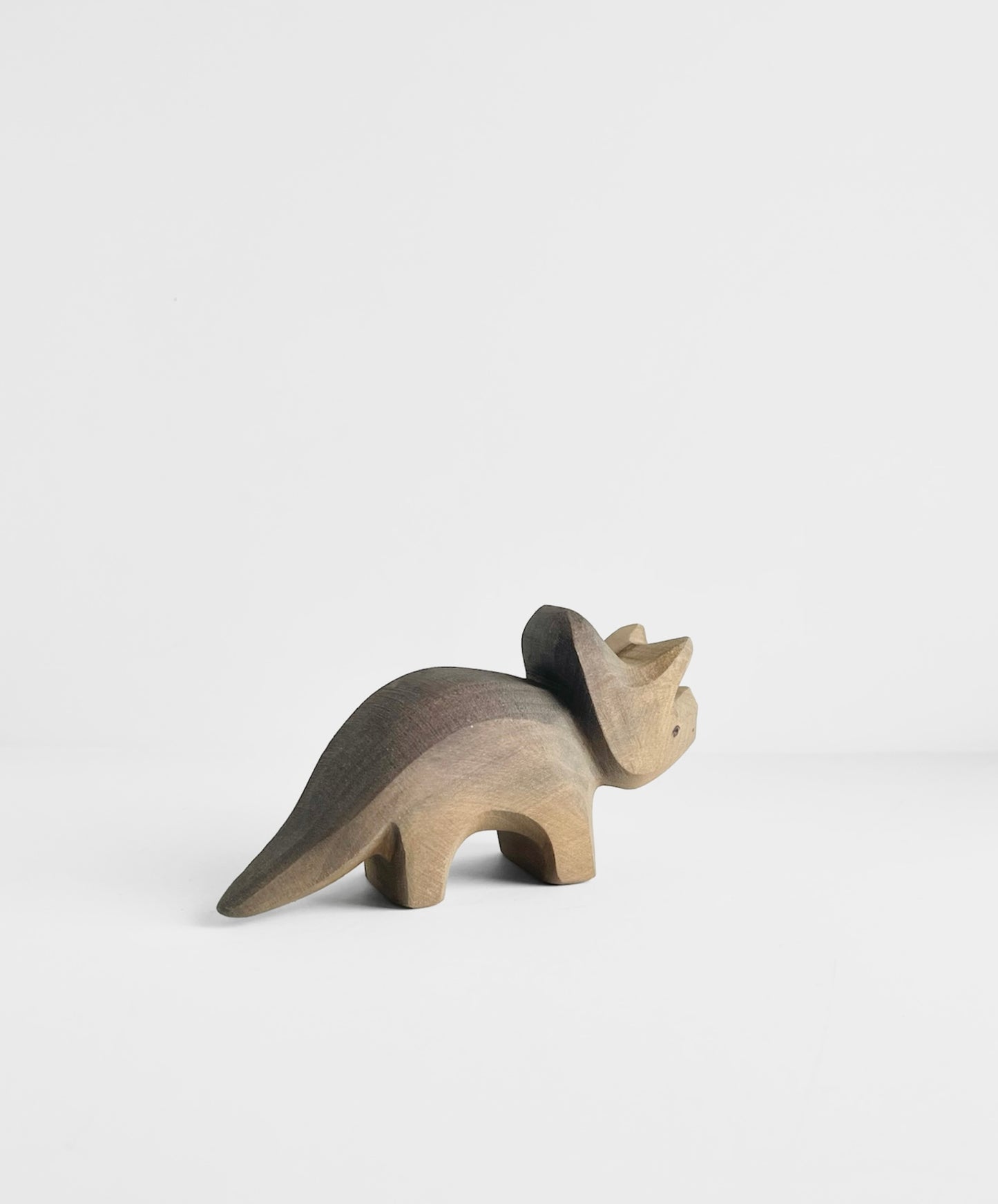 Triceratops Baby
