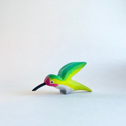Anna’s Hummingbird