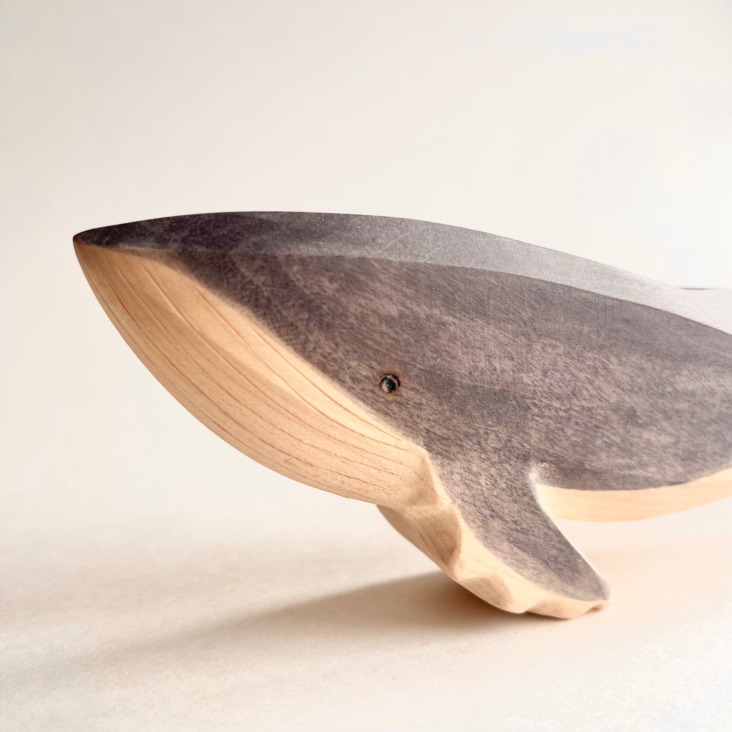 Humpback Whale