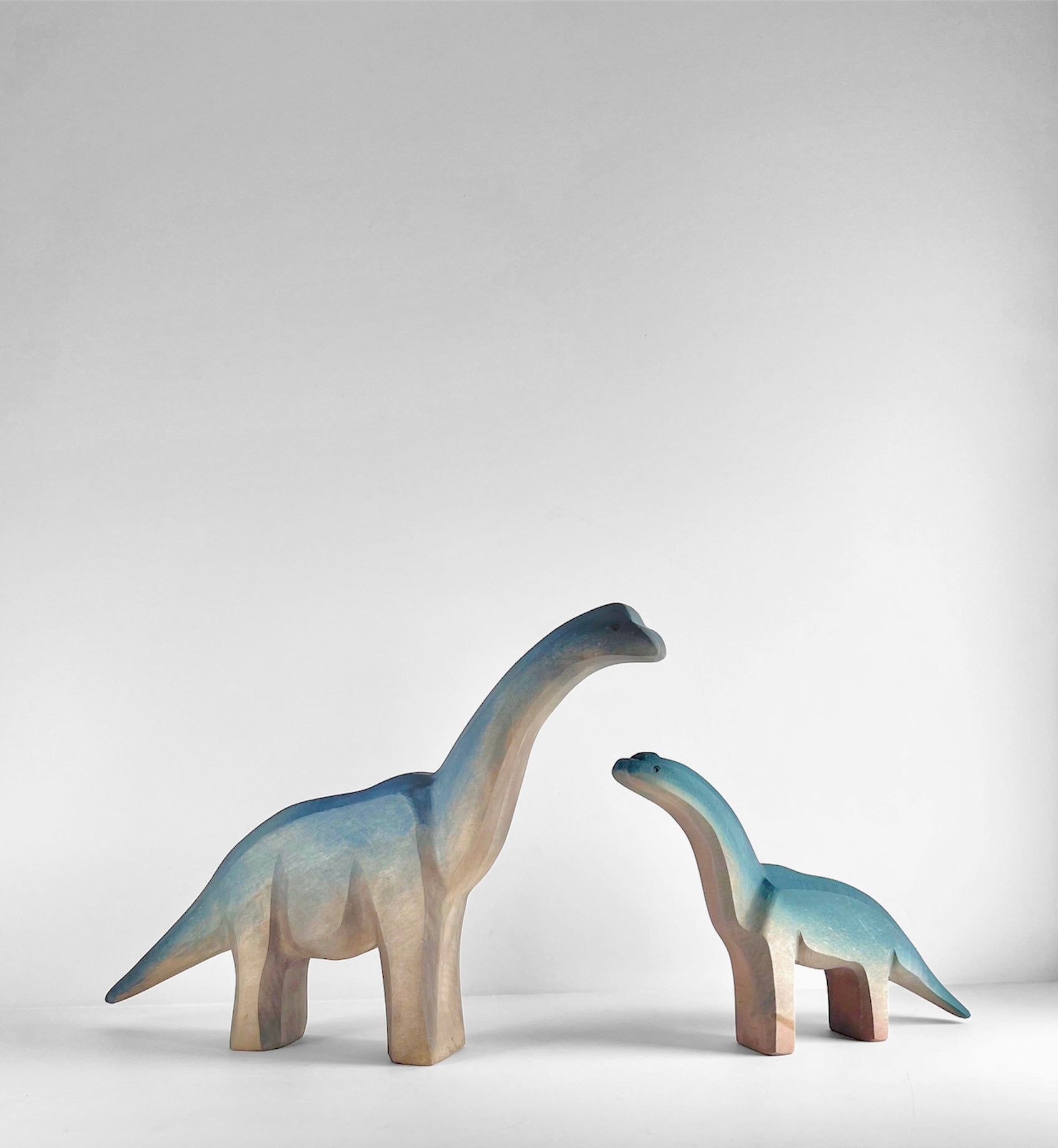 Brachiosaurus Baby