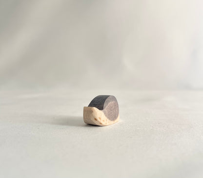 Snail