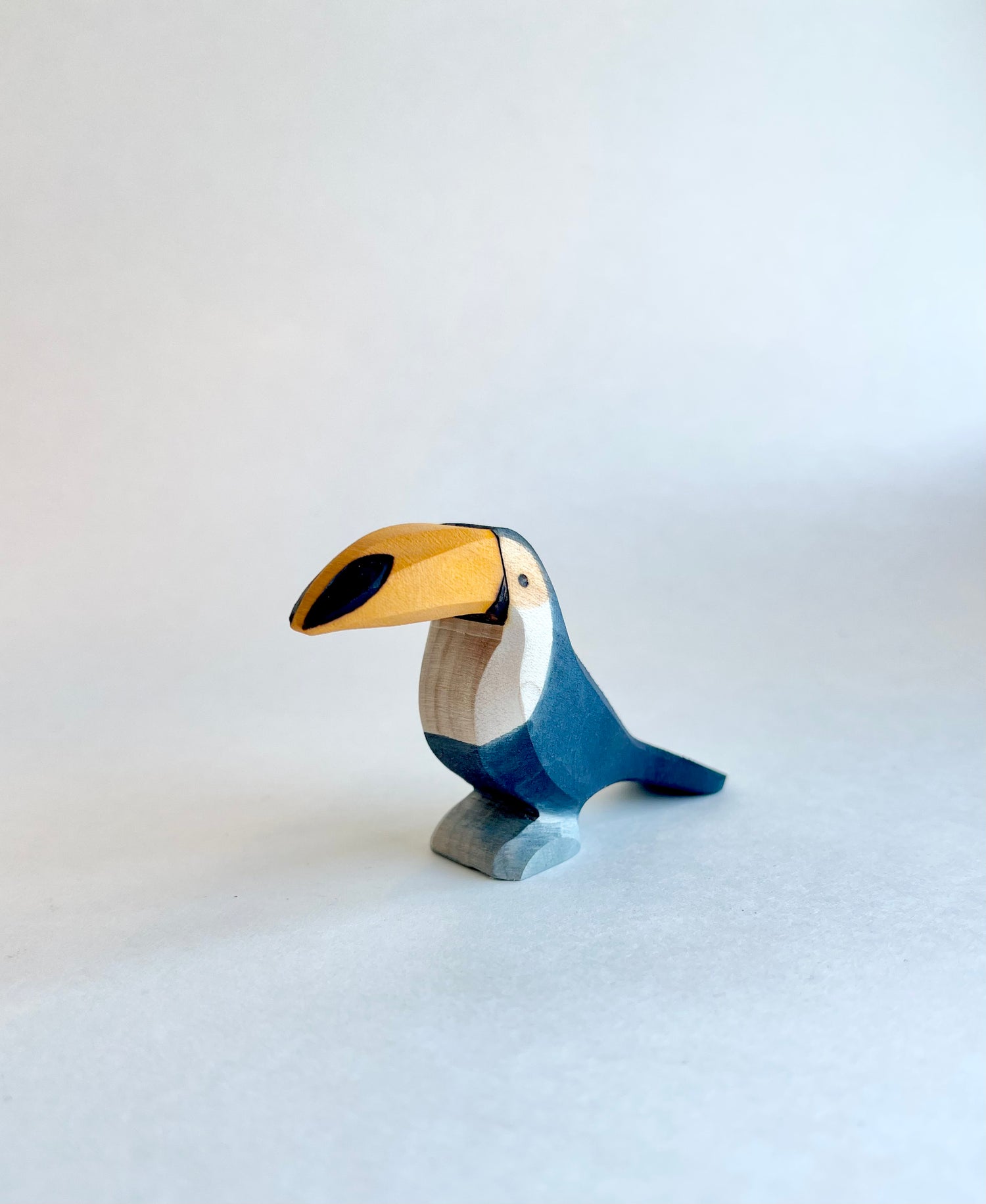 Toucan