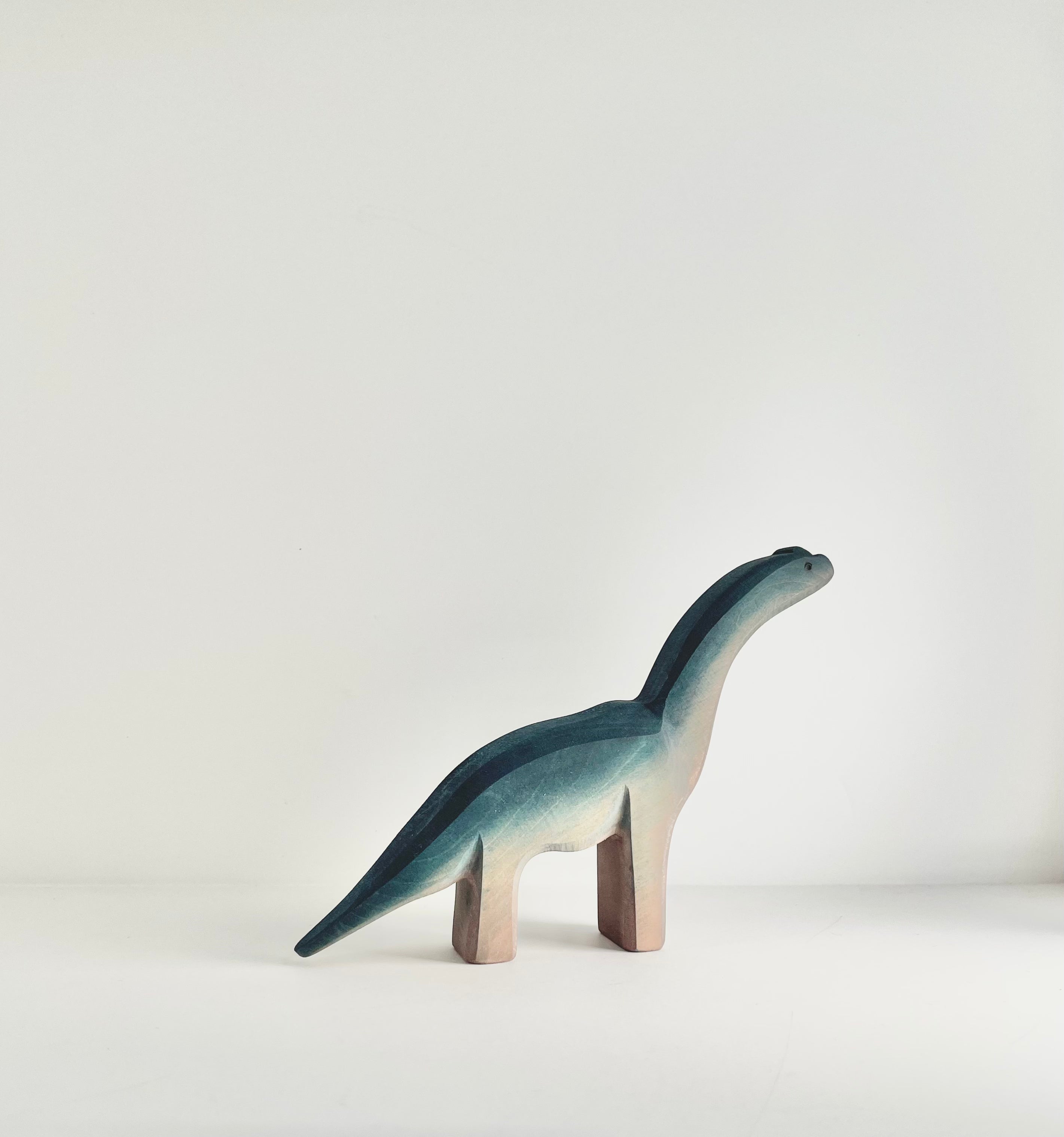 Brachiosaurus Baby