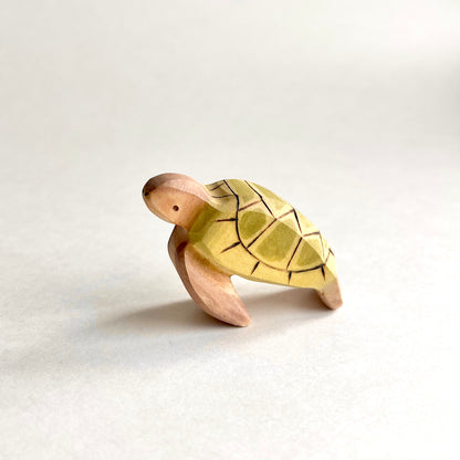 Baby Sea Turtle
